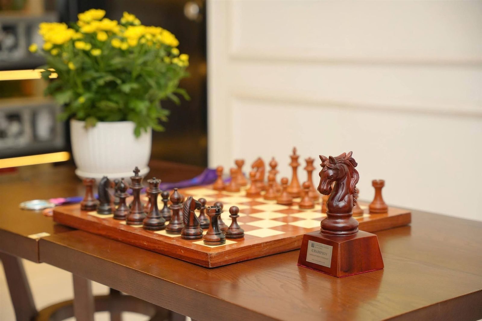 Cúp vô địch hình quân Mã của Caissa Chess School
